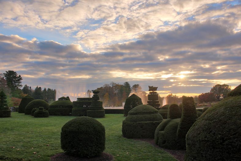 golden sunlight breaks through clouds over a garden filled with topiaries in geometrical shapes