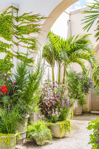 bright green palms and herbaceous plants artfully arranged in containers surrounded by pale stone walls