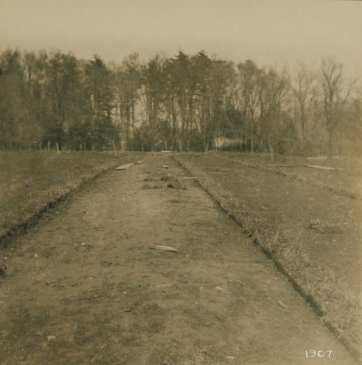 A historic sepia-toned photo shows a cleared dirt pathway leading to a row of trees