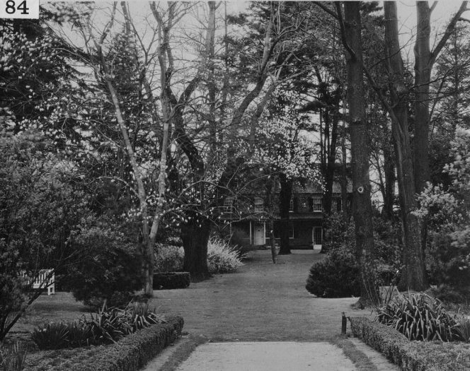 black and white photo of a boxwood lined pathway leading to a lawn dotted with trees, benches, and shrubs, with a house in the distance