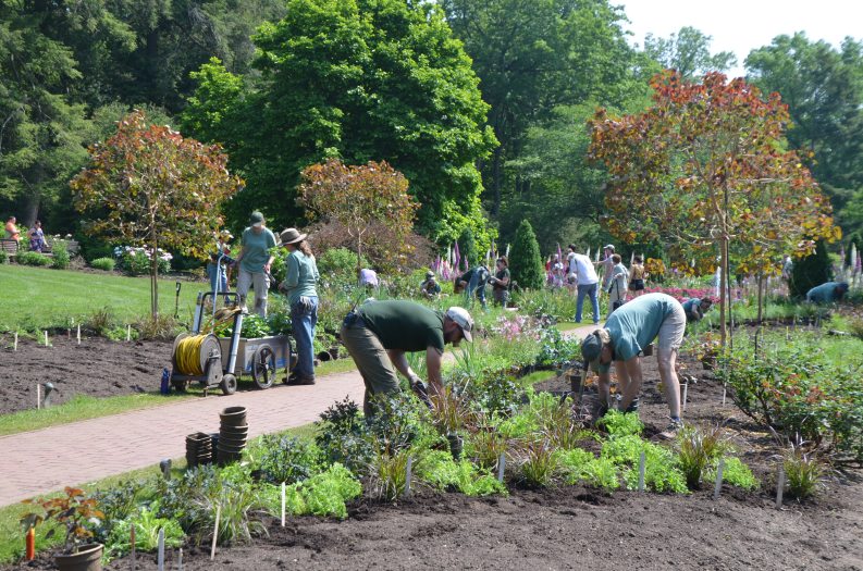 A large group of people planting flower beds in late spring