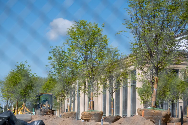 trees being planted in a construction site 