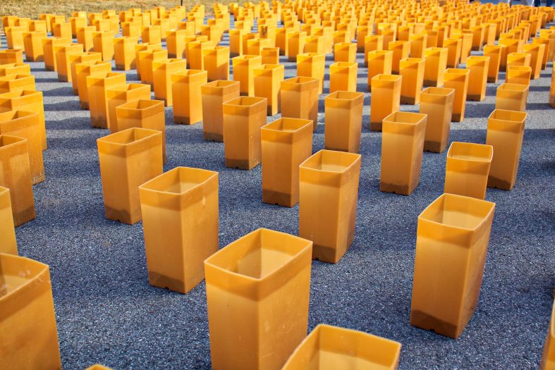 Closeup of rows of golden luminaria on pavement, taken at an angle from above and filling the frame.