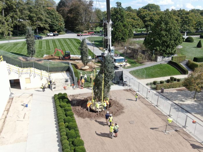 A large crane lowers an evergreen tree into landscaping under construction, as workers below center and steady the tree. 