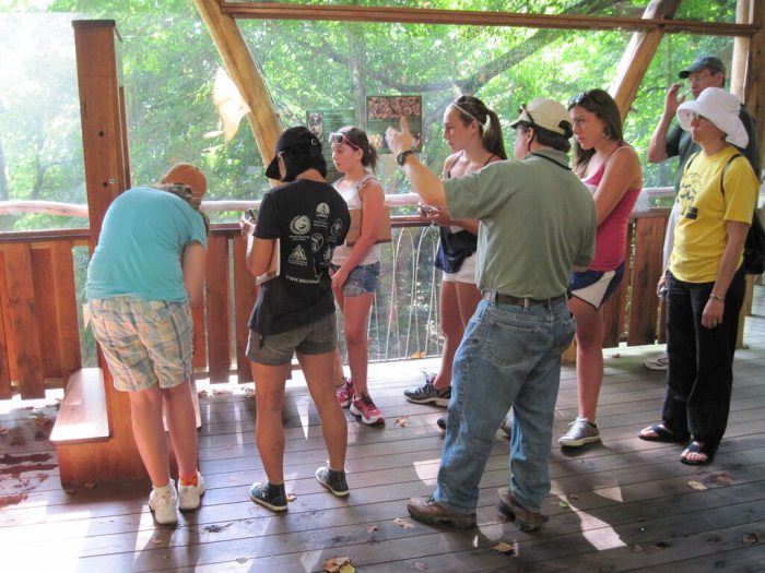 A group of people standing in a tree house listening to a presenter.