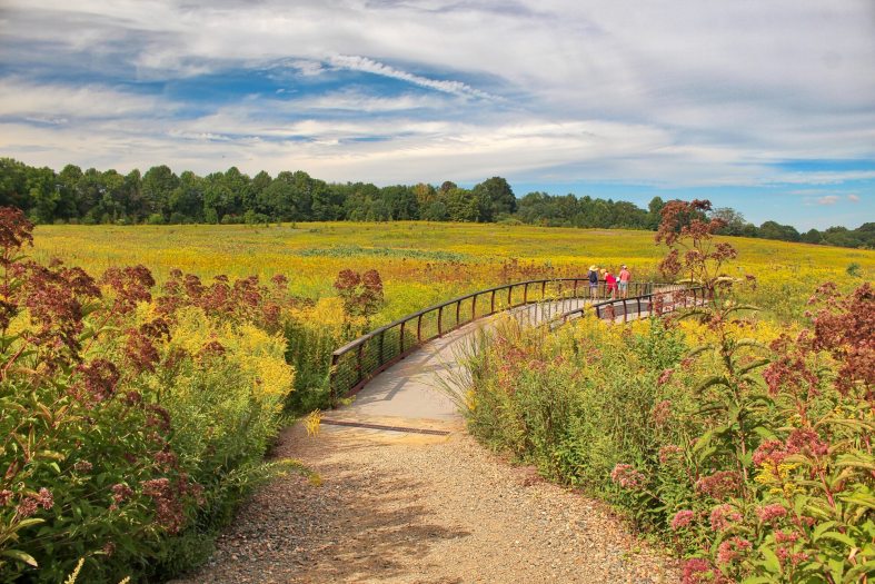 A view of the Meadow Garden path in late summer at Longwood Gardens.