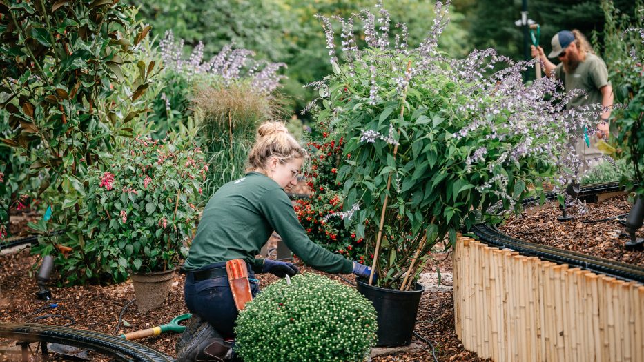 Two gardeners place a variety of plants in the landscape surrounding an outdoor miniature railway.