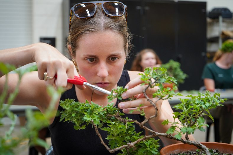 A person in a black tank top and sunglasses on their head, holding red scissors and pruning a bonsai.