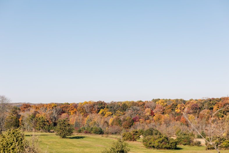 A viewshed of a large grassy area with a treeline in the very background featuring fall color.