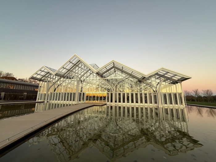 The exterior of the West Conservatory at sunset featuring all glass panels and roof, with yellow-leaved ginko trees planted outside.