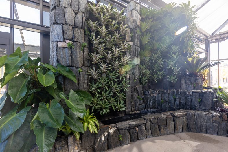 An indoor tropical garden in a glasshouse, with lush green plants on rock walls with waterfalls.