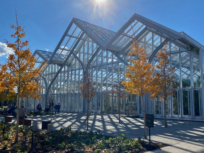 The exterior of the West Conservatory featuring all glass panels and roof, with yellow-leaved ginko trees planted outside.