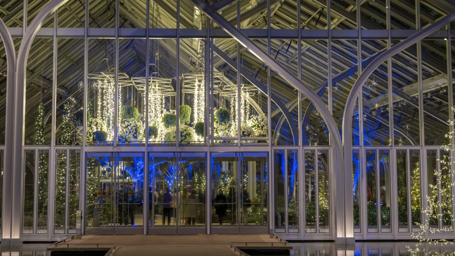 Lit trees and hanging baskets viewed from the outside of a glass conservatory looking in, with a color palette of blue, white, and green.