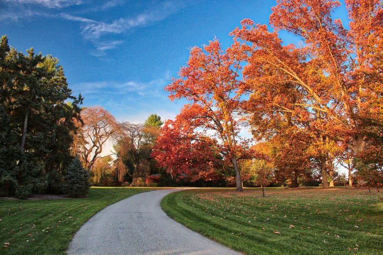 A paved path cuts through a fall landscape with trees with orange and red foliage on the right side, and a green tree on the left. 