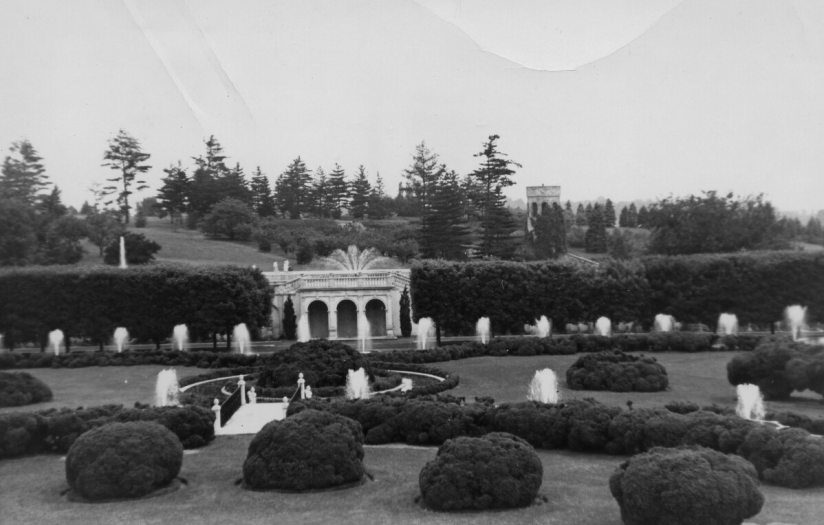 A black and white photo of Longwood's Main Fountain Garden with small rounded boxwood plants and small fountains flowing. 