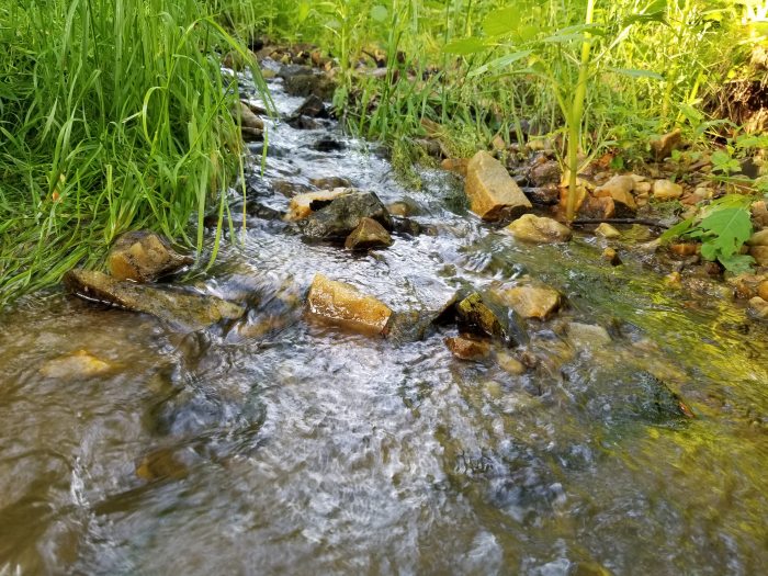 A small stream with stepping stone-sized rocks cuts through a grassy area. 