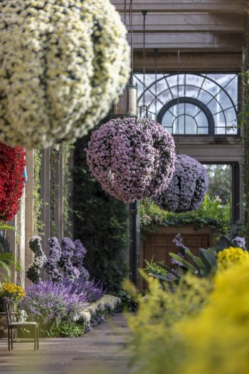 Three hanging baskets in single colors of white and purple line a walkway toward a glass window in the conservatory.  