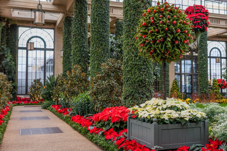 An interior view of the conservatory with red plants lining the walkways, columns covered in green vines, a tall topiary-like plants in grey boxes. 
