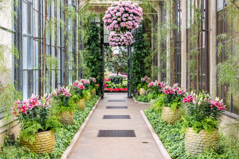 A hallway passage featuring containers with blooms on either side and overhead hanging baskets with pink blooms. 