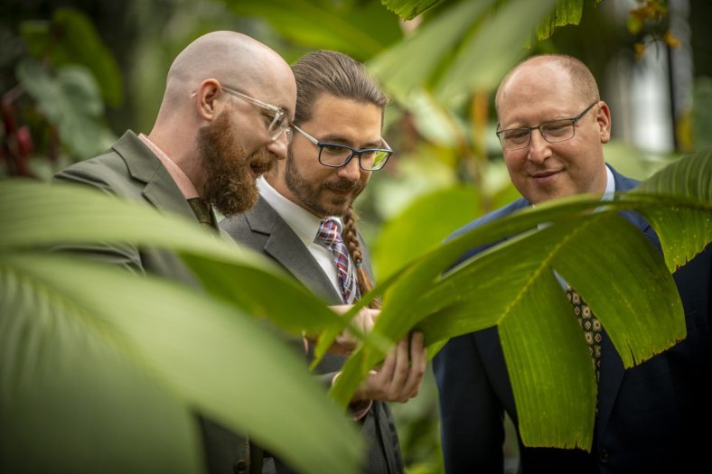 Three people in suits, inside a plant conservatory, looking at a large palm leaf.