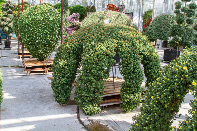 An image of basket forms with green plants in a nursery