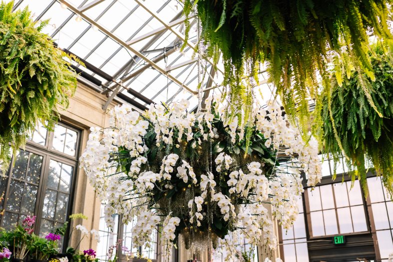 A chandelier made out of white orchids hangs from a glass window ceiling while surrounded by leafy hanging baskets. 