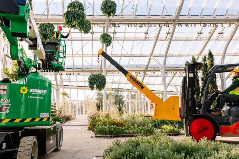 A vehicle with a yellow crane lifts a hanging basket with green foliage up toward a man who is positioned in the lift basket of a green vehicle. 