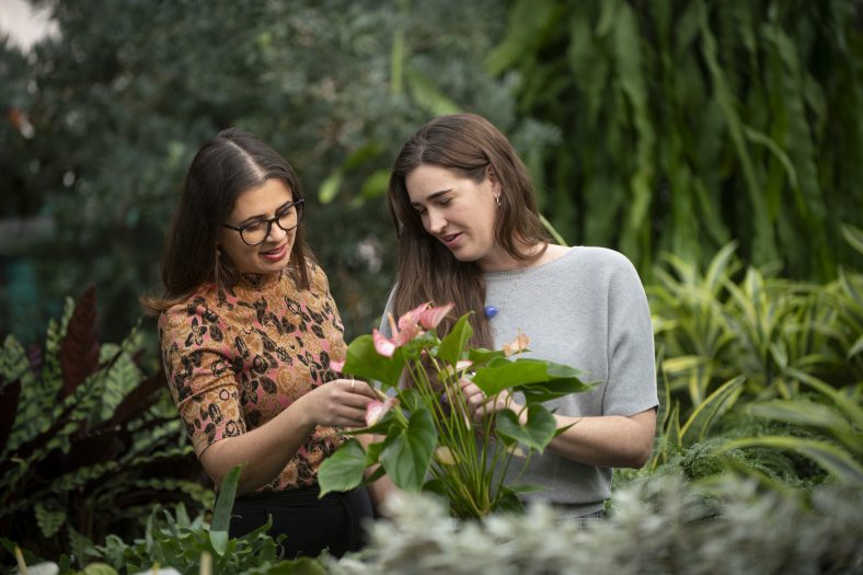 Two people in a plant nursery looking at a potted plant.