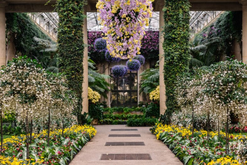An indoor conservatory with yellow and white blooms on either side of a pathway, in the distance, green columns and overhead hanging baskets of flowers can be seen. 