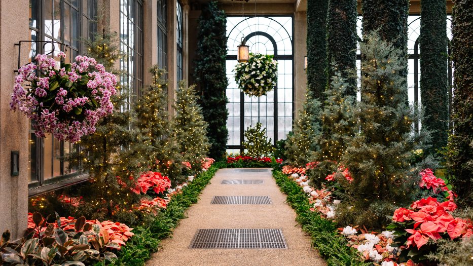 Decorated pathway during Christmas, featuring illuminated trees, poinsettias, and hanging flower baskets.