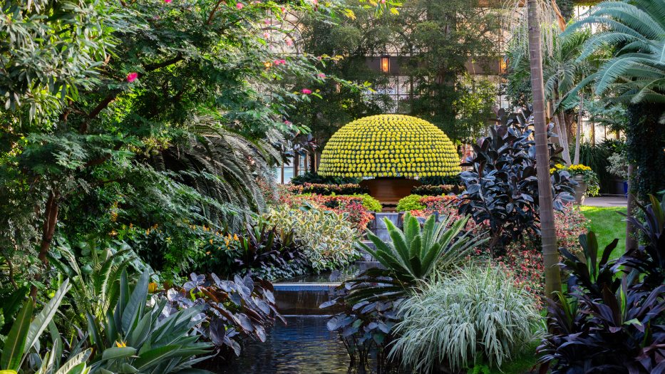 View of a lush indoor garden featuring a variety of plants and a striking spherical centerpiece