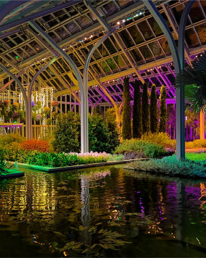 Indoor conservatory at night with tropical foliage and rippling pools bathed in purple, orange, and green light.