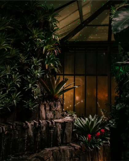 Indoor stone waterfalls spill among red blooms amid green foliage, with green sparks of light overhead.