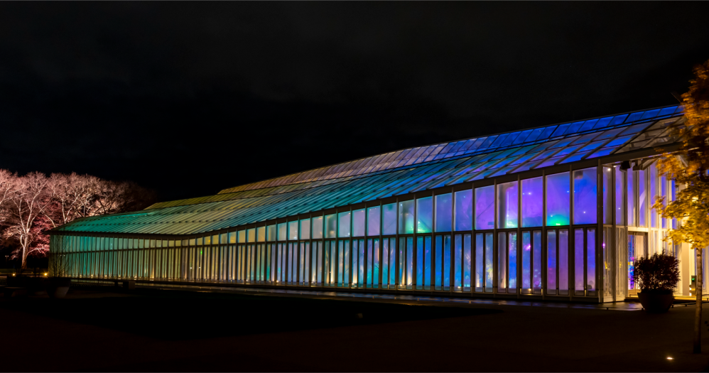 Long glasshouse at night bathed in green, gold, turquoise, and purple light.