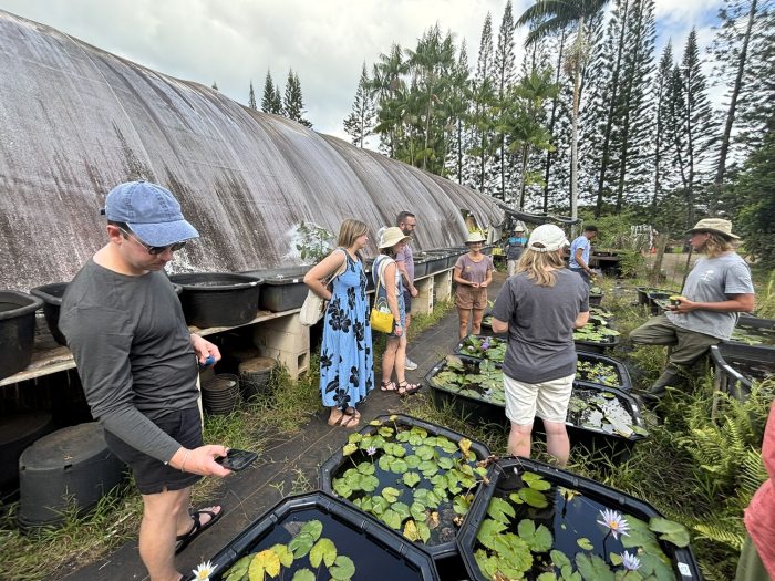 A group or people standing around outdoor aquatic gardens listening to an instructor.