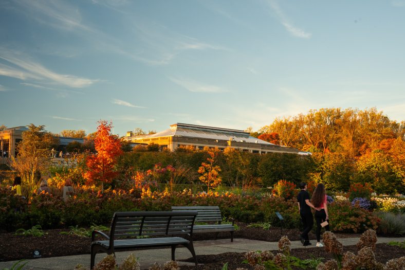 An autumn landscape, with people walking through a late summer garden. 