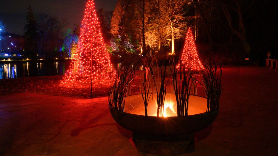 a firepit near two red lit Christmas trees