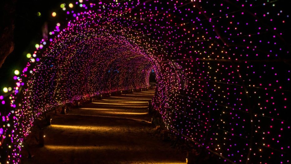 a tunnel of lights