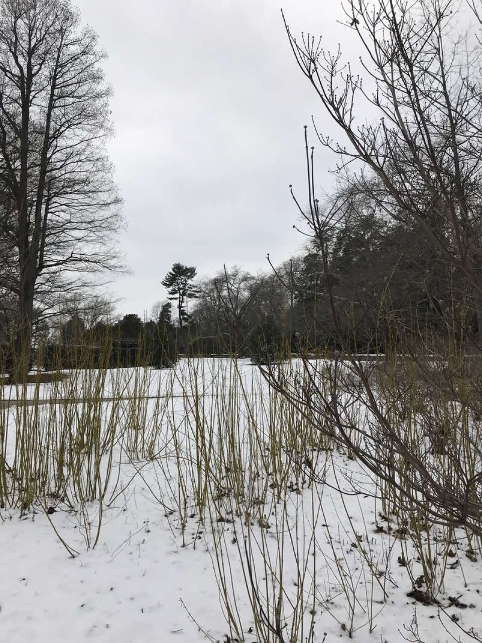Wondrous Winter at Longwood | Longwood Gardens