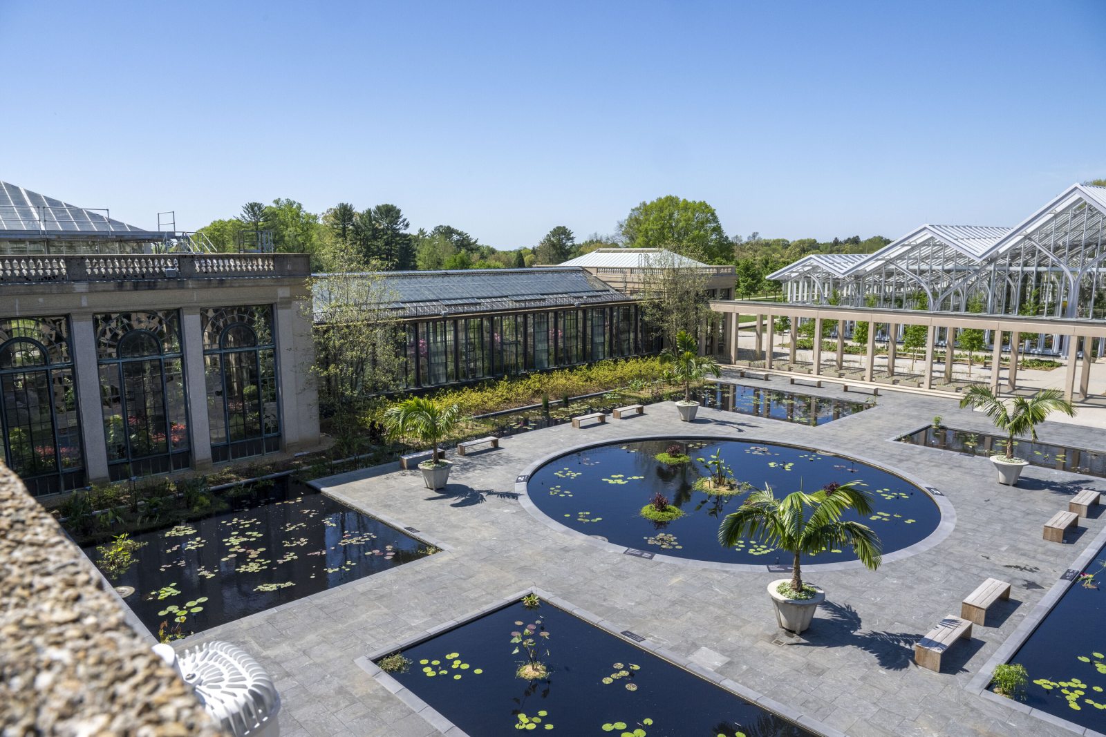 A Dazzling Return: Our Waterlily Court Longwood Gardens
