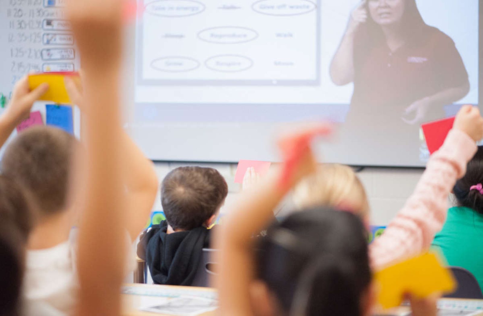 Lights, Camera, Learning Longwood Gardens