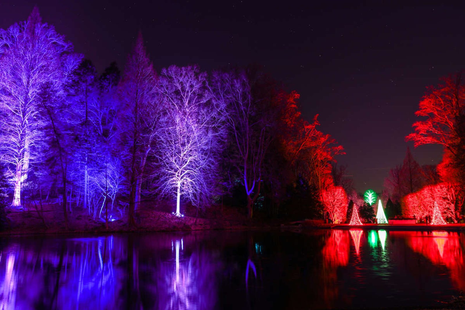 How to Photograph Holiday Lights Longwood Gardens
