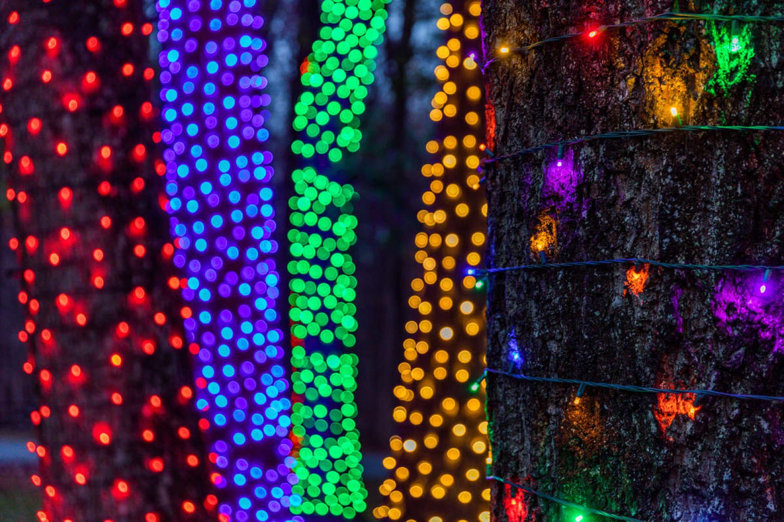 How to Photograph Holiday Lights Longwood Gardens