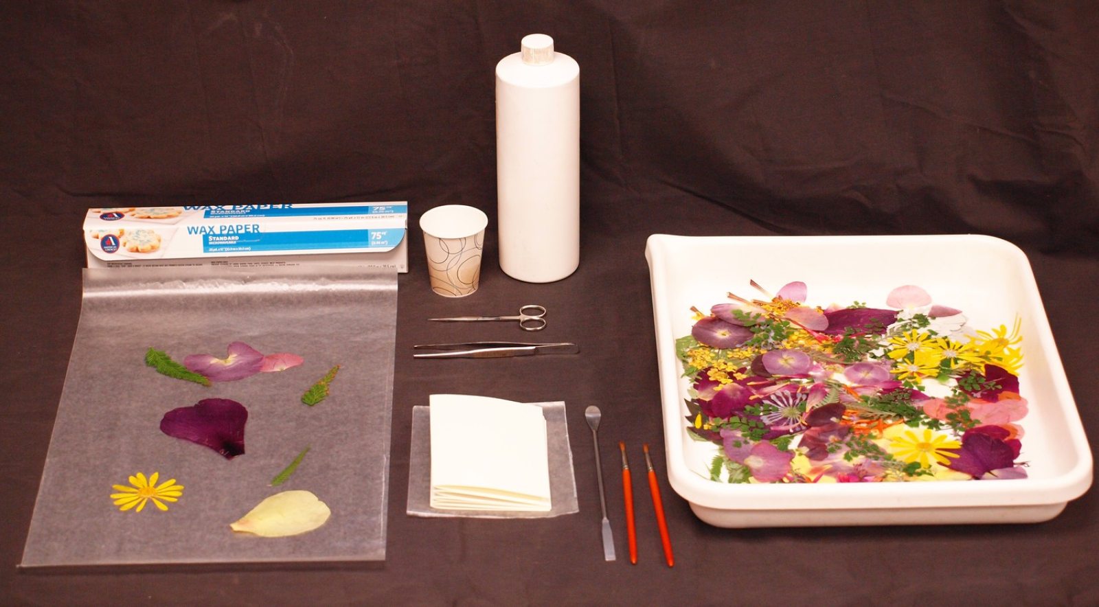 How to Press Flowers & Create Handmade Greeting Cards | Longwood Gardens