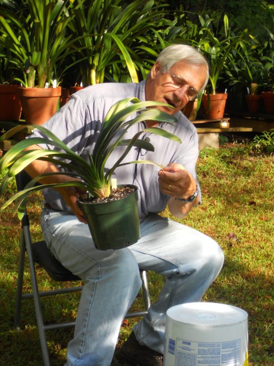 a man sitting down and holding a Clivia