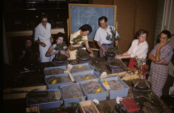 group of adults preparing to pot bonsai trees in a class at Longwood Gardens