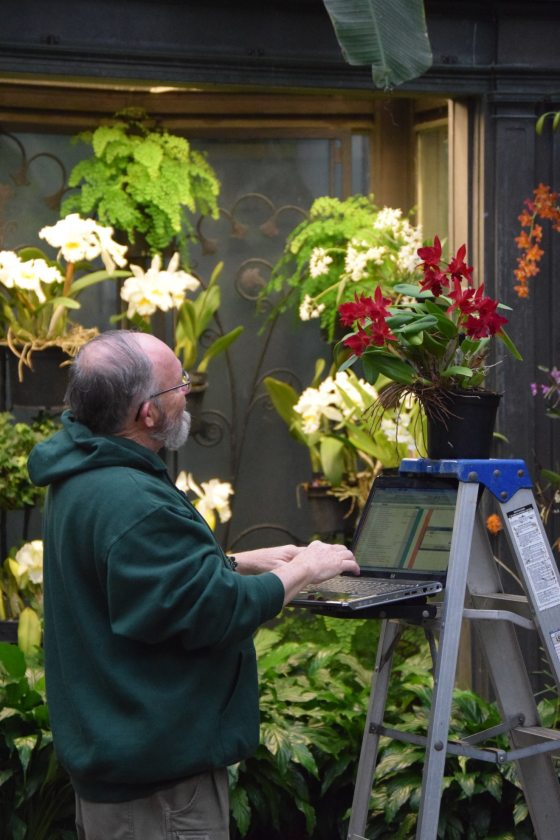 A person working on a laptop in the Orchid House