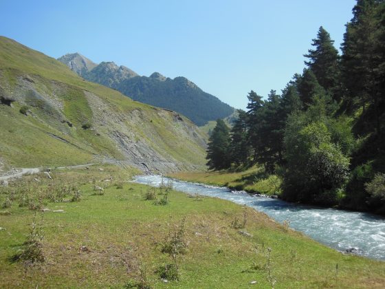 river running through meadow with mountains in the background