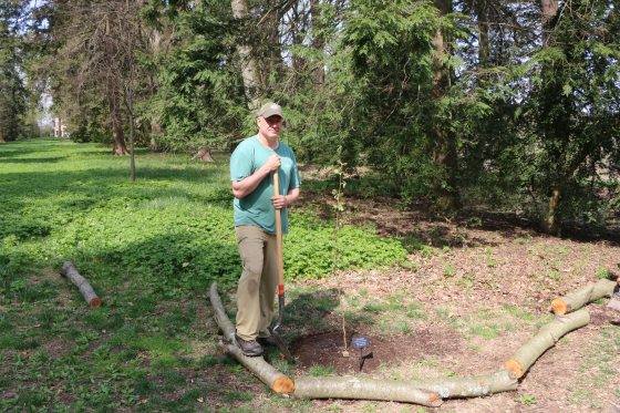 man planting a new tree with shovel in hand