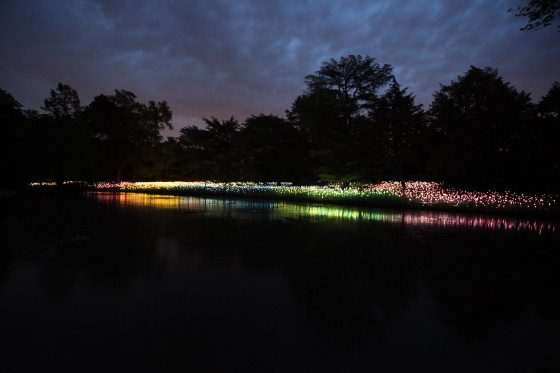 multi-colored lights along a lake at night